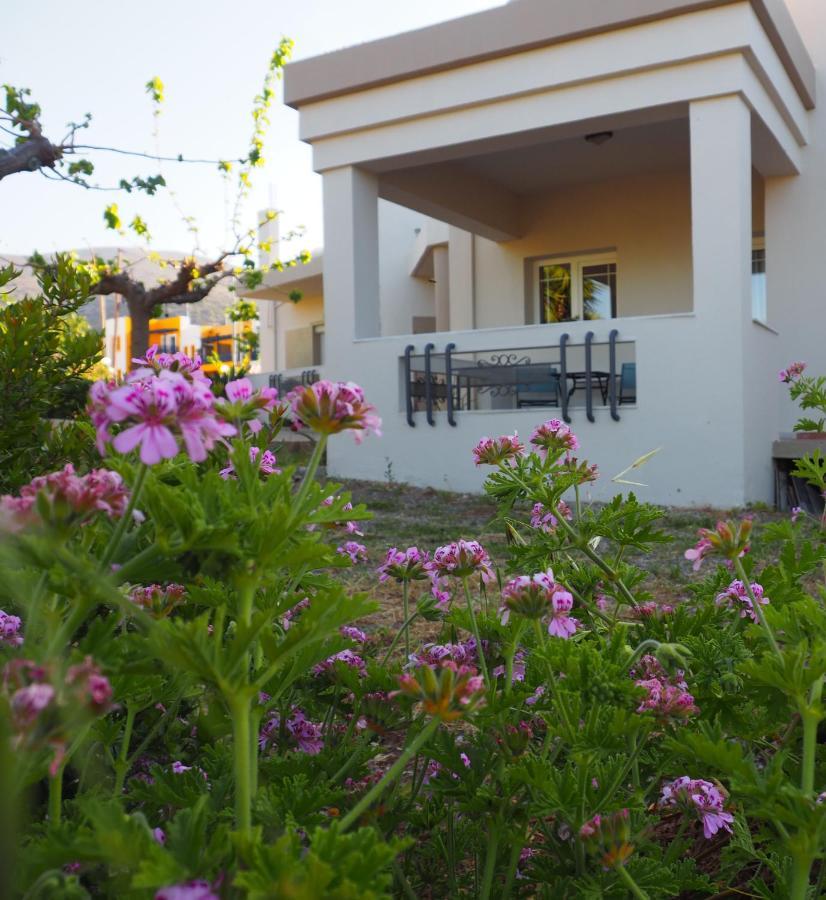 Olive House Villa Malia Exterior foto